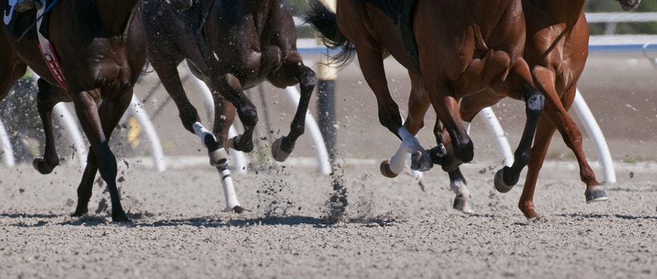 Sántaságvizsgálat elemei lépésről lépésre - ahogy mi csináljuk