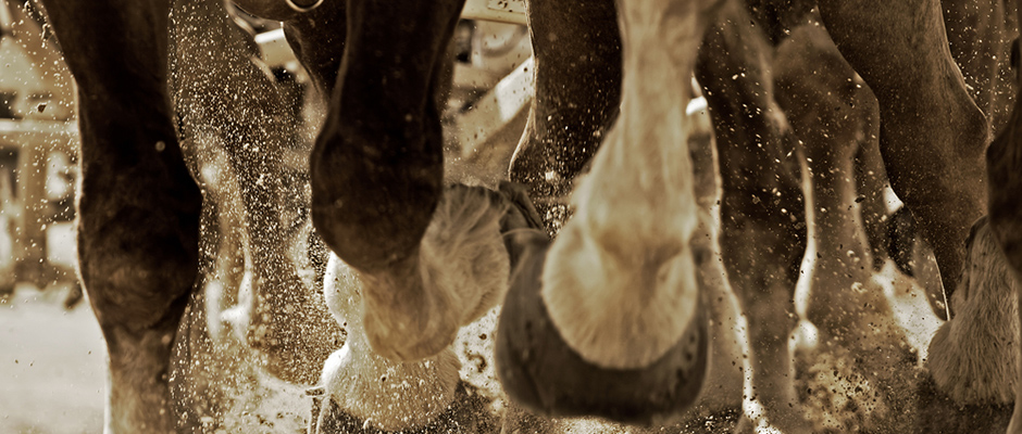 A végtagok betegségeiről részletesen